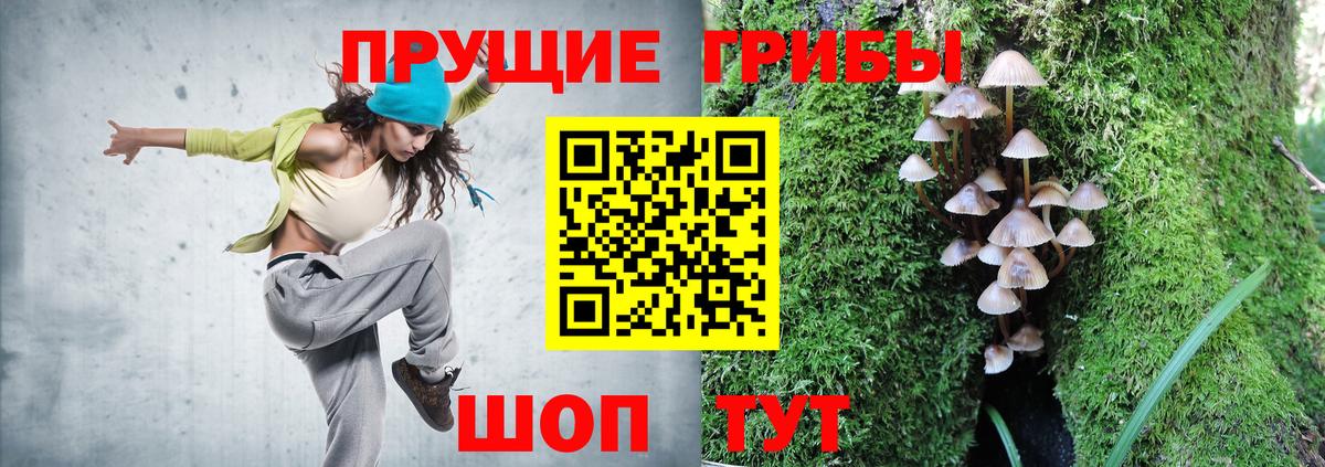 Псилоцибиновые грибы мицелий Чайковский