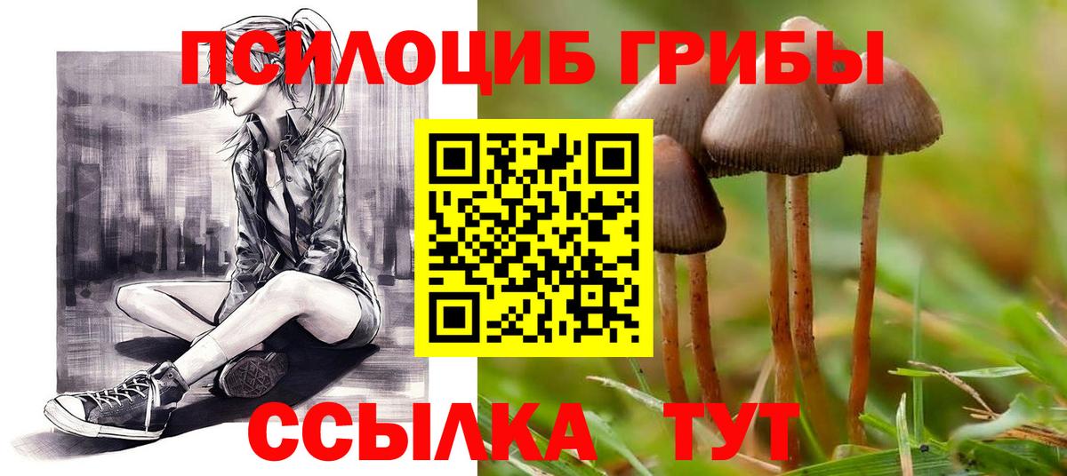 Чайковский  Галлюциногенные грибы прущие грибы  Вход с VPN 